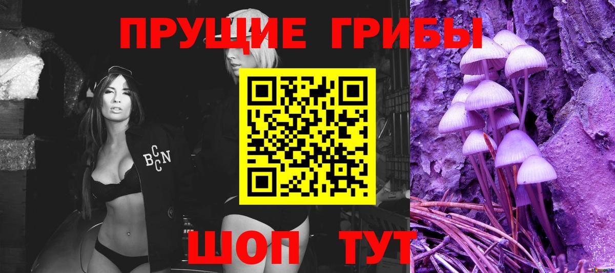 Галлюциногенные грибы GOLDEN TEACHER Апшеронск