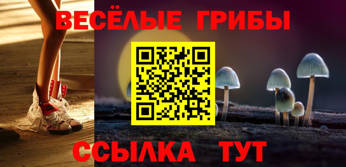 хочу   Псилоцибиновые грибы GOLDEN TEACHER  Вход с VPN  Апшеронск 